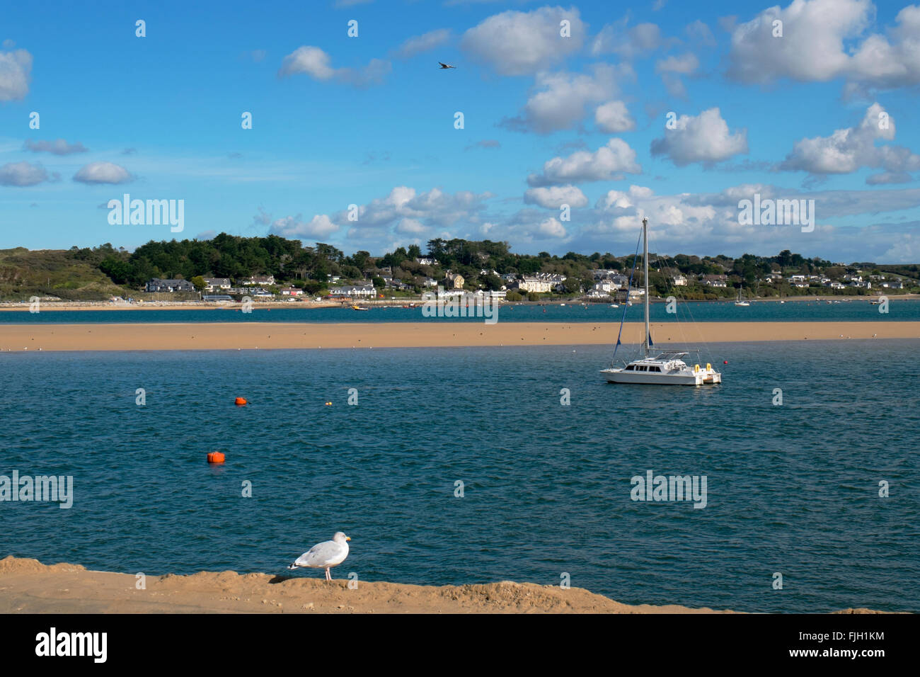 Catamarano ormeggiato in cammello estuario a Padstow, Cornwall, Regno Unito. Foto Stock