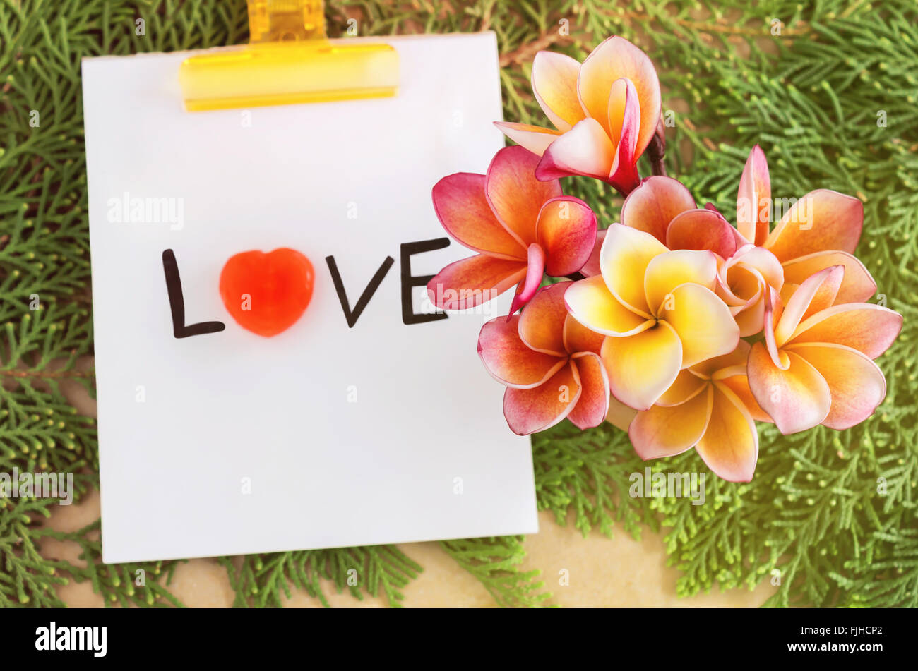 Fiori bouque con amore di testo su verde foglia di pino sullo sfondo Foto Stock
