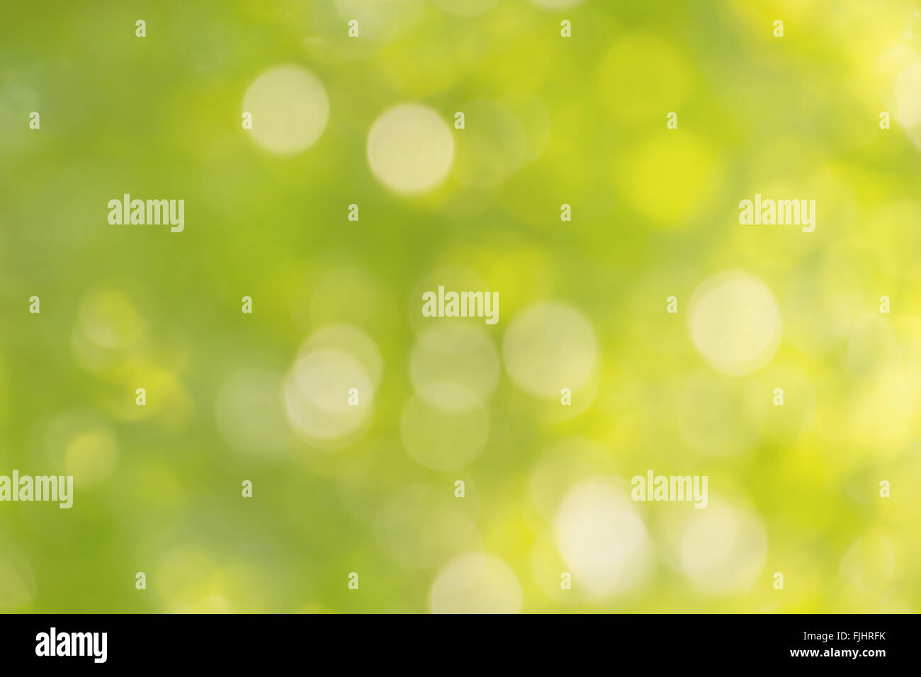 Morbido fresco colore verde bokeh boccola albero e la luce del sole per abstract sfondo romantico Foto Stock