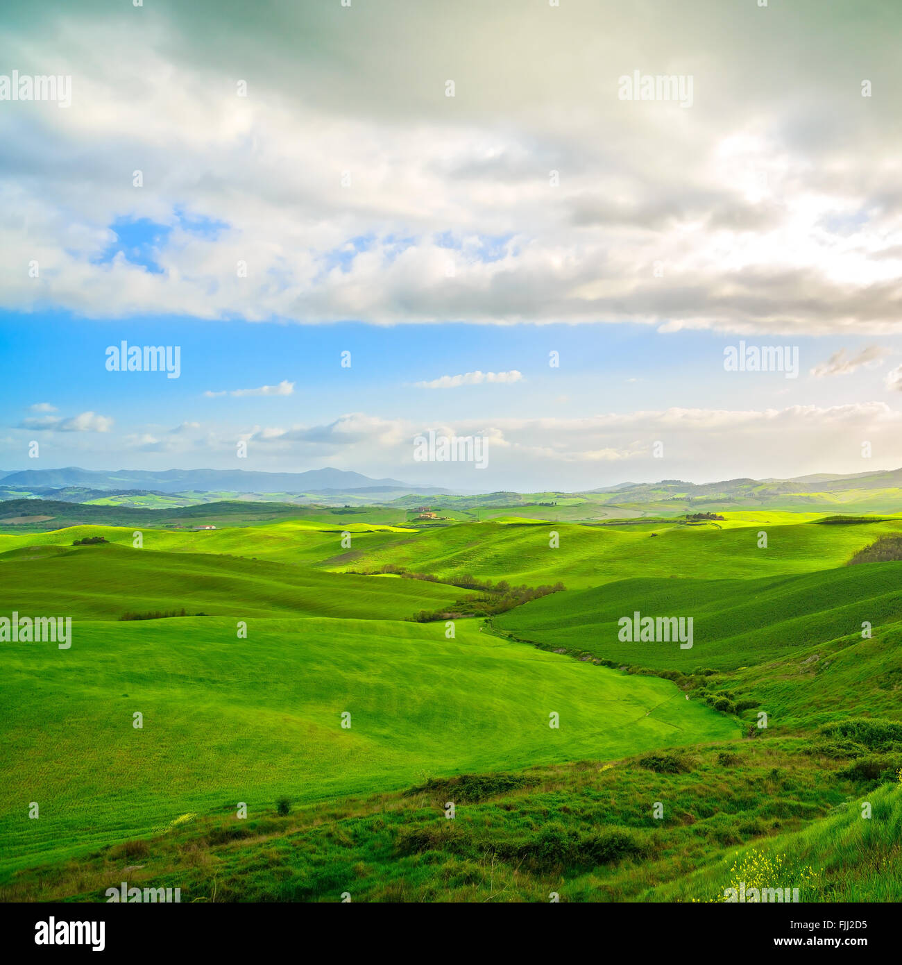 Toscana, paesaggio rurale della Toscana con il giallo e il verde campo. Le colline vicino a Volterra, Italia. L'Europa. Foto Stock