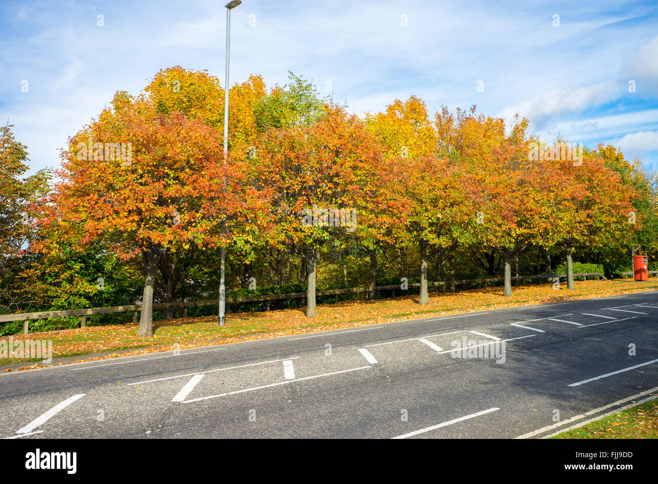 Strada asfaltata durante l'autunno. Valle del team, Gateshead. Foto Stock