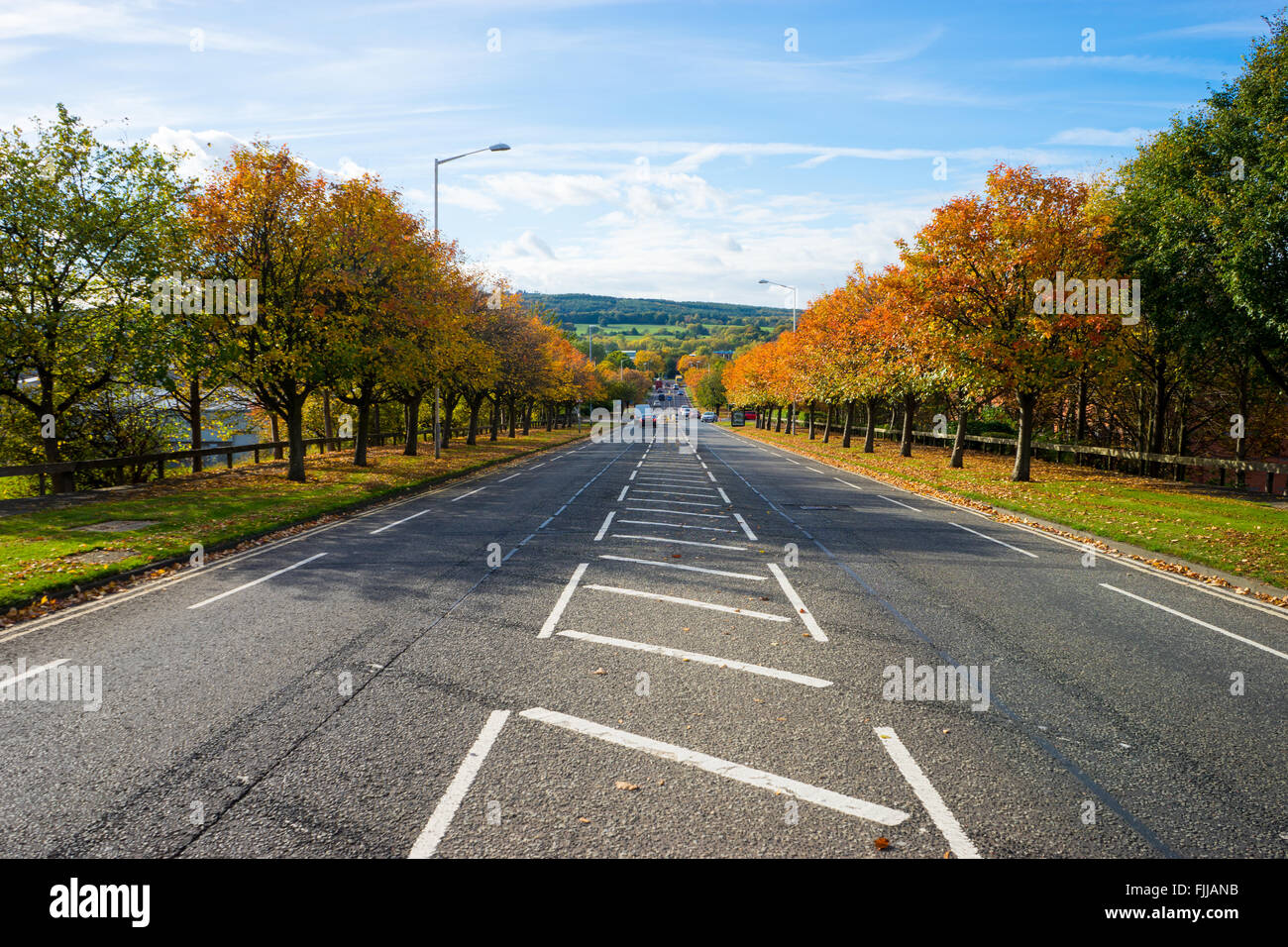 Strada asfaltata durante l'autunno. Valle del team, Gateshead. Foto Stock