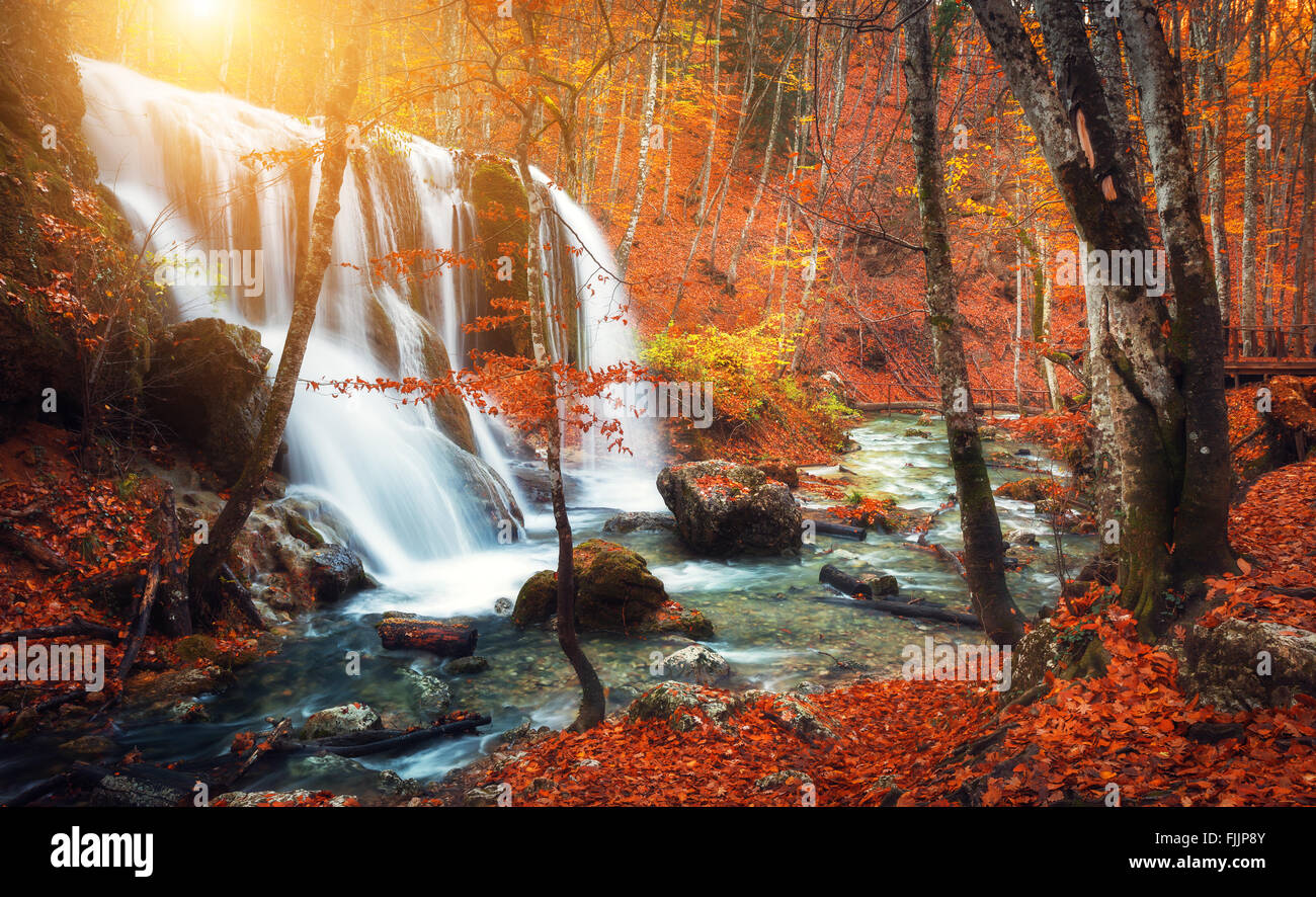 Bella cascata al fiume di montagna in un colorito autunno foresta con rosso e arancione lascia al tramonto. Paesaggio Naturale Foto Stock
