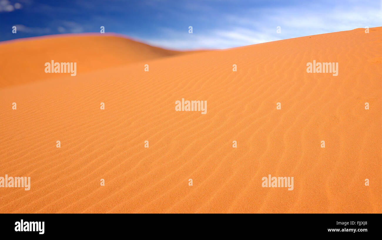 Rosa dune di sabbia in inizio di mattina di luce a Coral Pink Sand Dunes State Park in Kanab, Utah Foto Stock