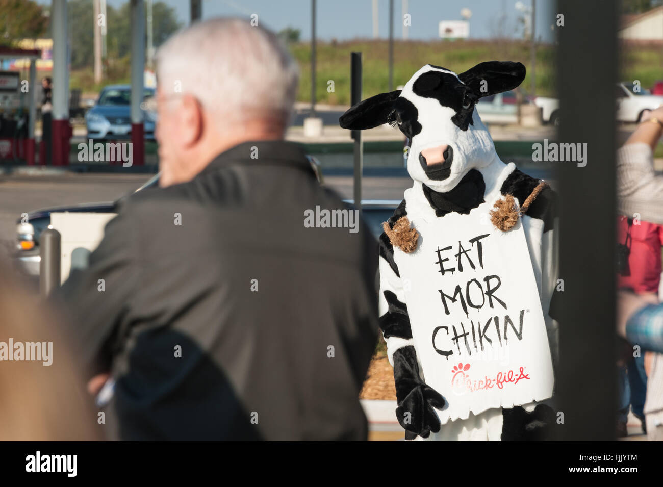 Un 'Mangiare Mor Chickin' mucca si diffonde il suo self-conservazione messaggio all'inaugurazione di un nuovo Pulcino-fil-a in Muskogee, OK. Foto Stock