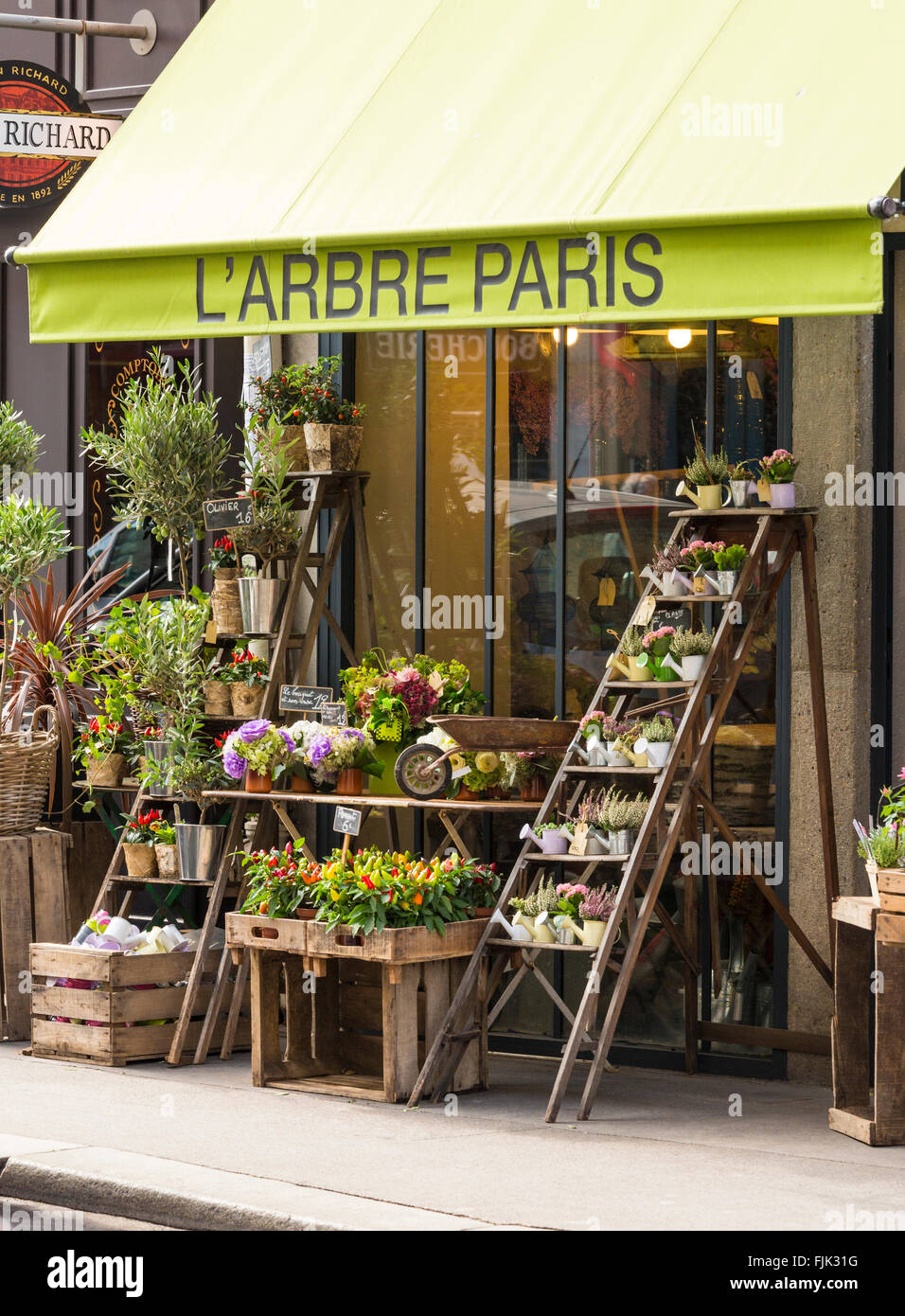 Fioraio esterno, Paris, Francia. Piante e fiori per la vendita sono visualizzati sul marciapiede sotto una tipica tenda. Foto Stock