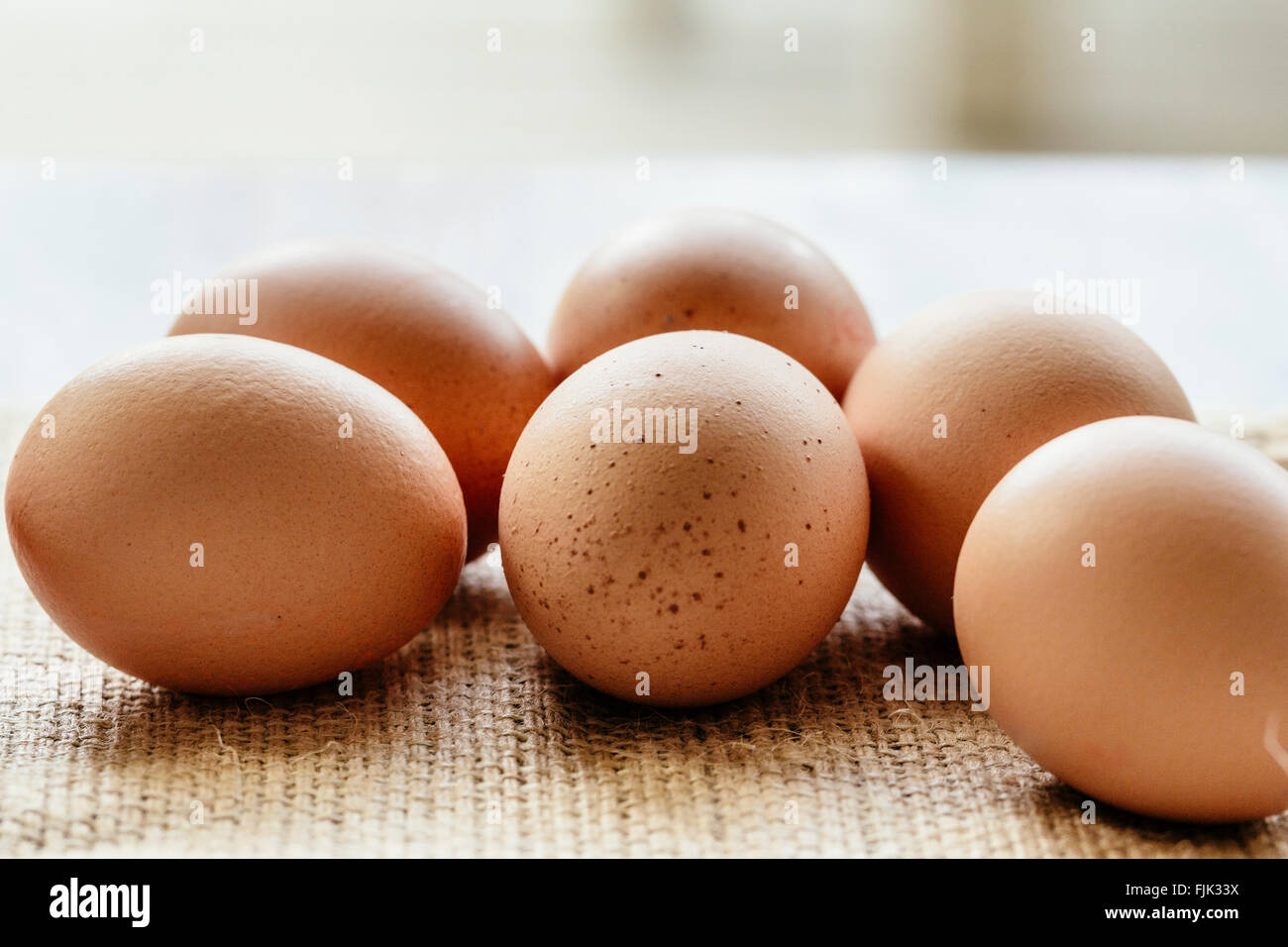 Uova di galline del Brown Foto Stock