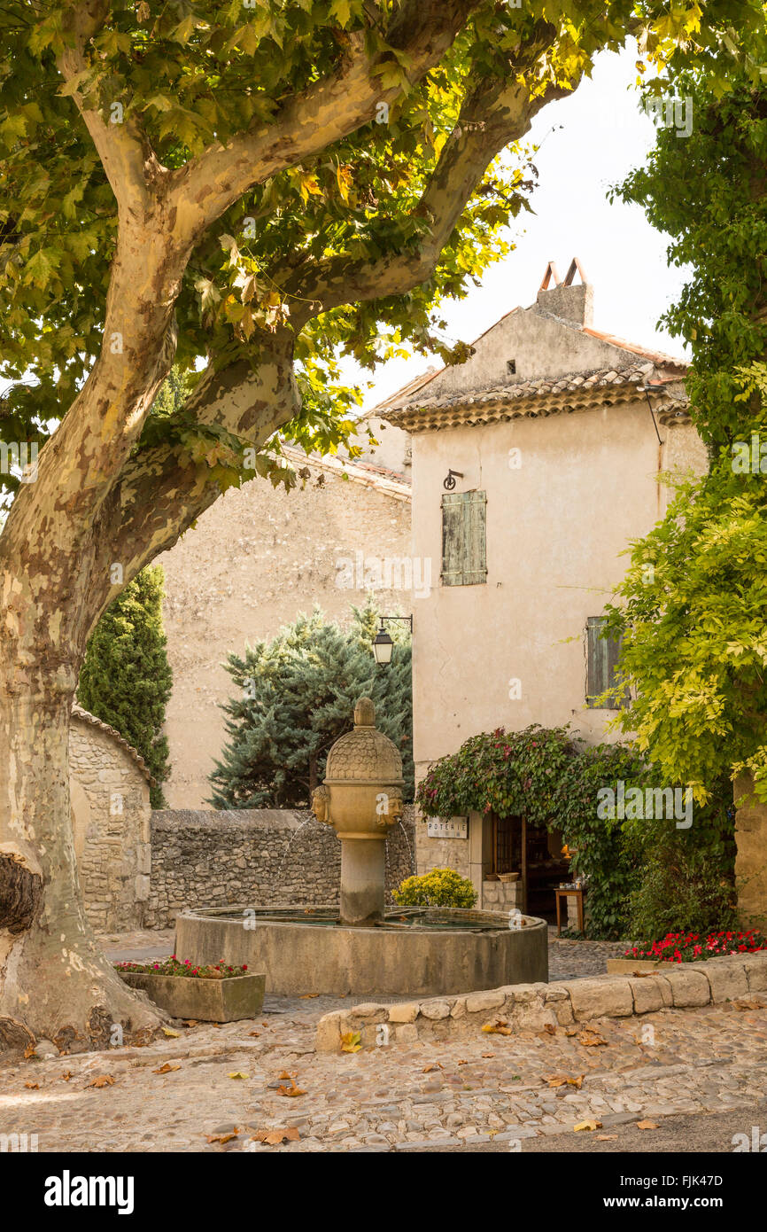 Una fontana di pietra è ombreggiato da un antico albero piano nello storico borgo medioevale piazza, Vaison la Romaine, Cotes du Rhone, Provenza, Francia Foto Stock