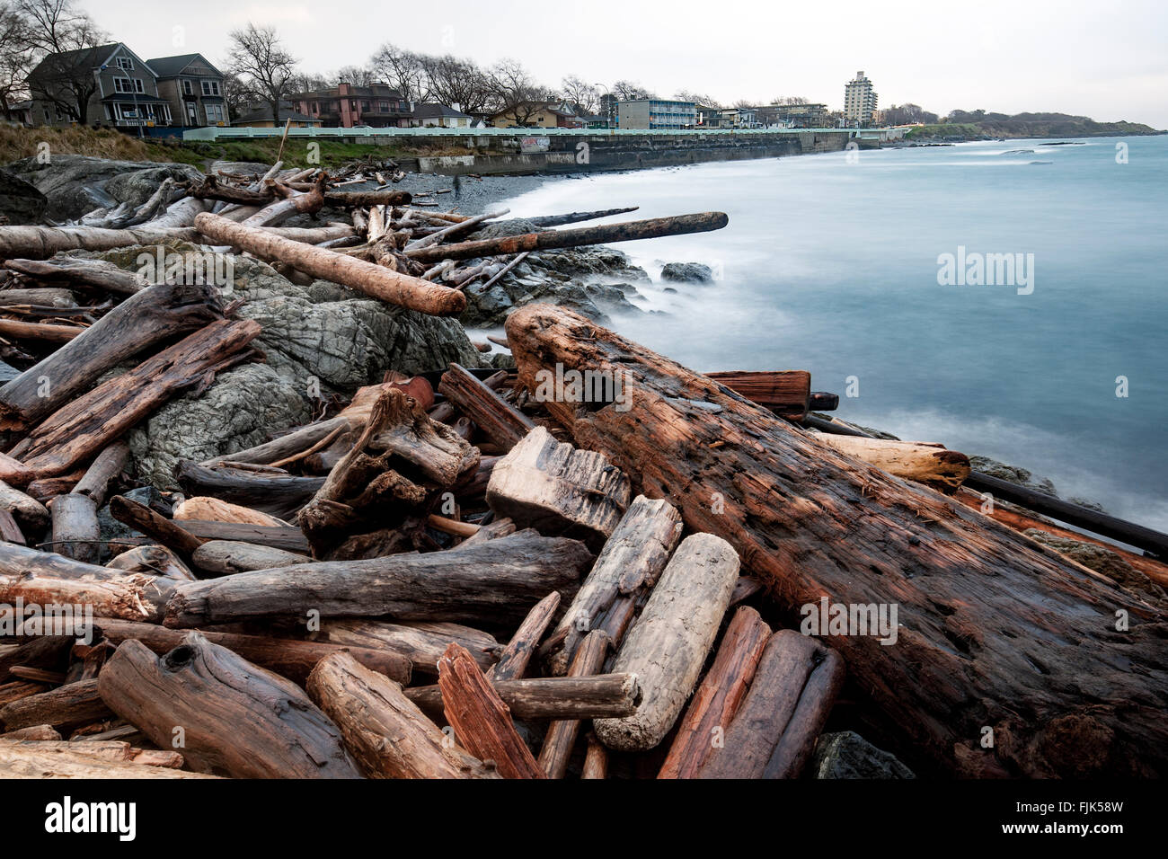 Driftwood sulla spiaggia di Dallas - Victoria, Isola di Vancouver, British Columbia, Canada Foto Stock
