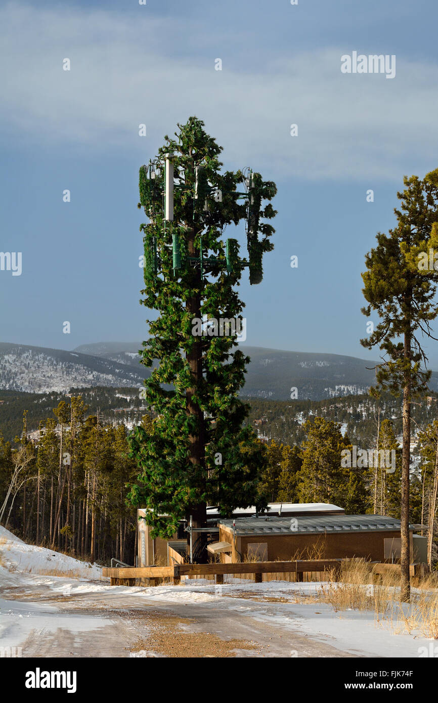 Torre cellulare dissimulata come un albero Foto Stock