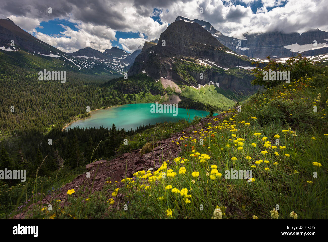 Bellissima vista del lago di Josephine sul ghiacciaio Grinnel trail con alcuni fiori Foto Stock