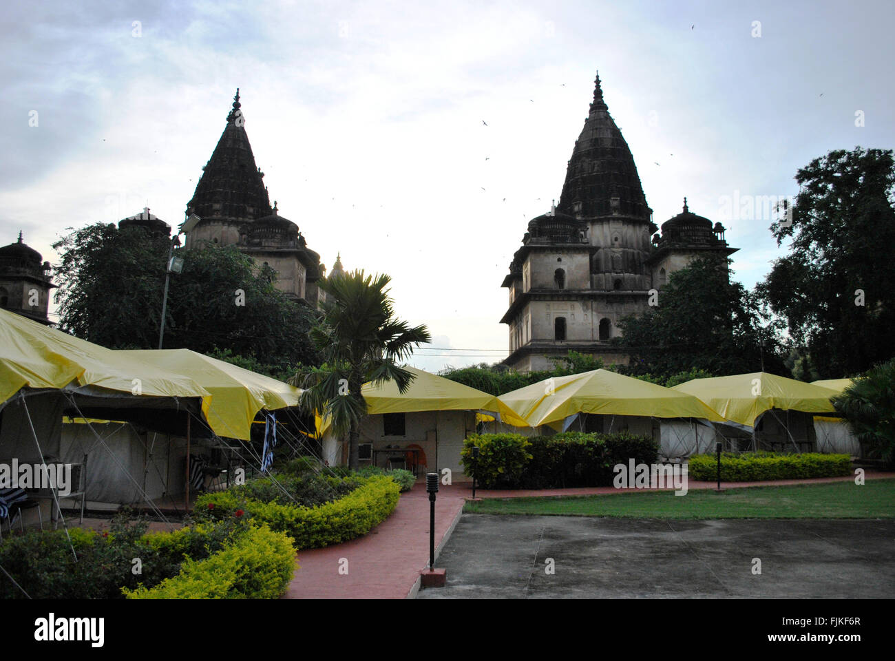 Chhatris (Cenotaphs), Orchha, Madhya Pradesh, India Foto Stock