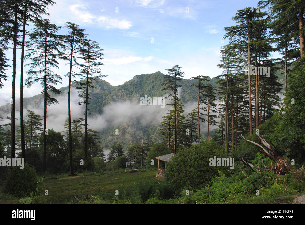 Dhanaulti, Uttrakhand, India Foto Stock