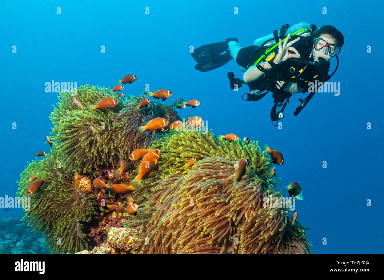 Scuba Diver esplorare una barriera corallina che mostra segno ok Foto Stock