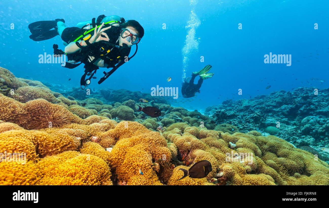 Scuba Diver esplorare una barriera corallina che mostra segno ok Foto Stock