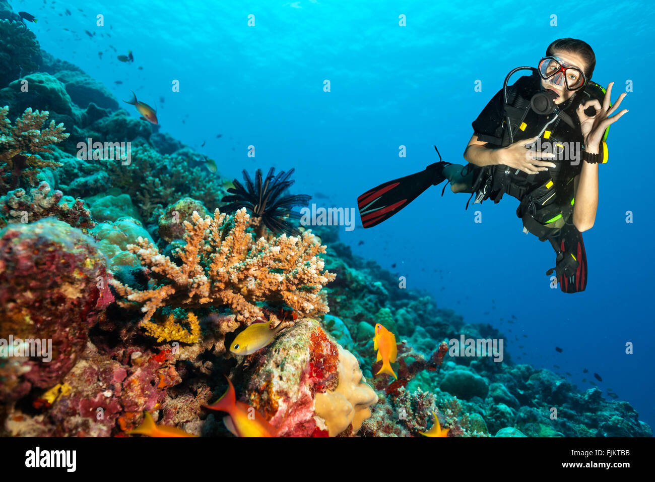 Scuba Diver esplorare una barriera corallina che mostra segno ok Foto Stock