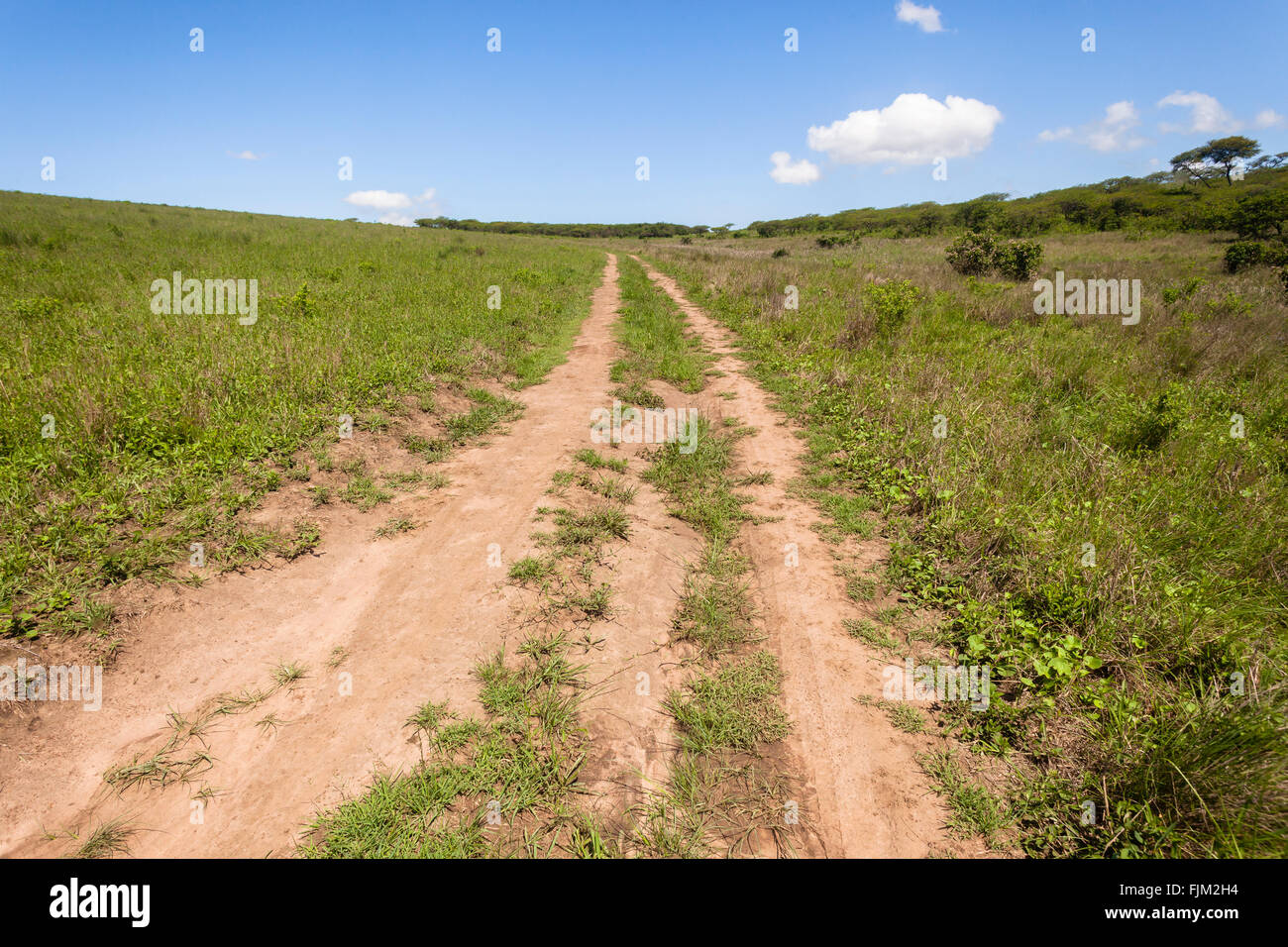 Deserto hillside sporco le tracce del veicolo oltre il paesaggio. Foto Stock