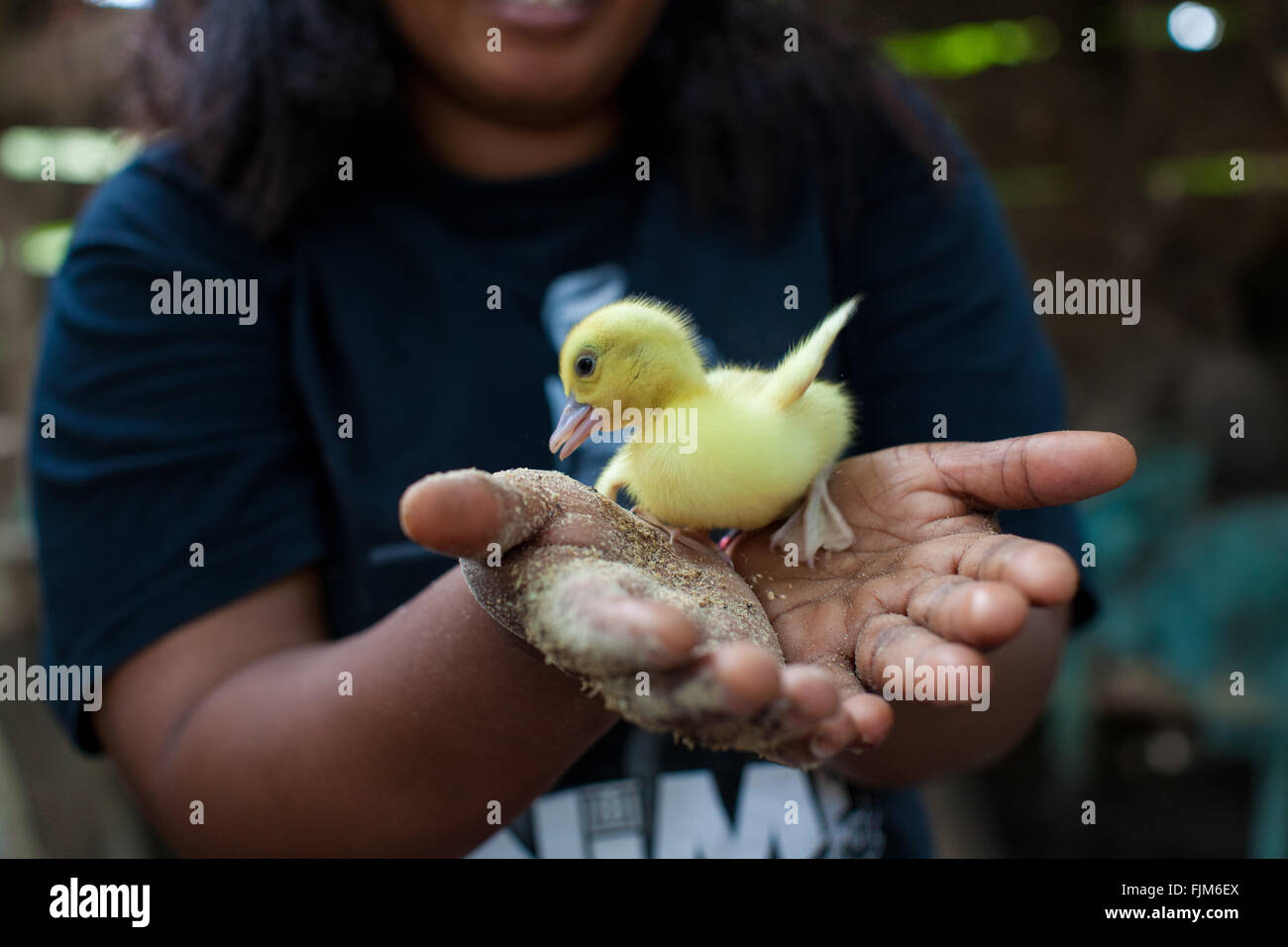 Un bambino anatroccolo essendo trattenuto da una femmina di agricoltore, Tanzania. Foto Stock