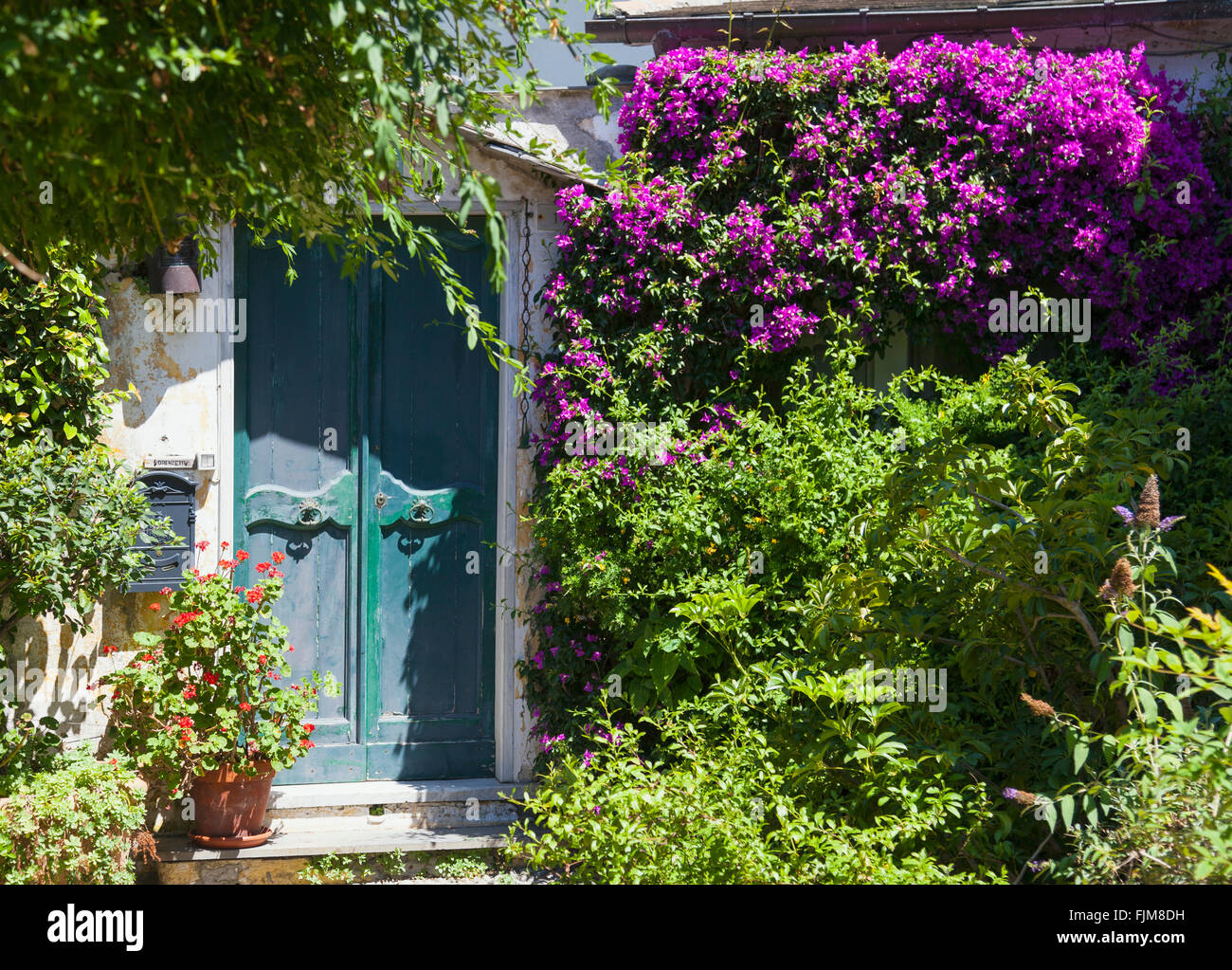 Porta verde Foto Stock