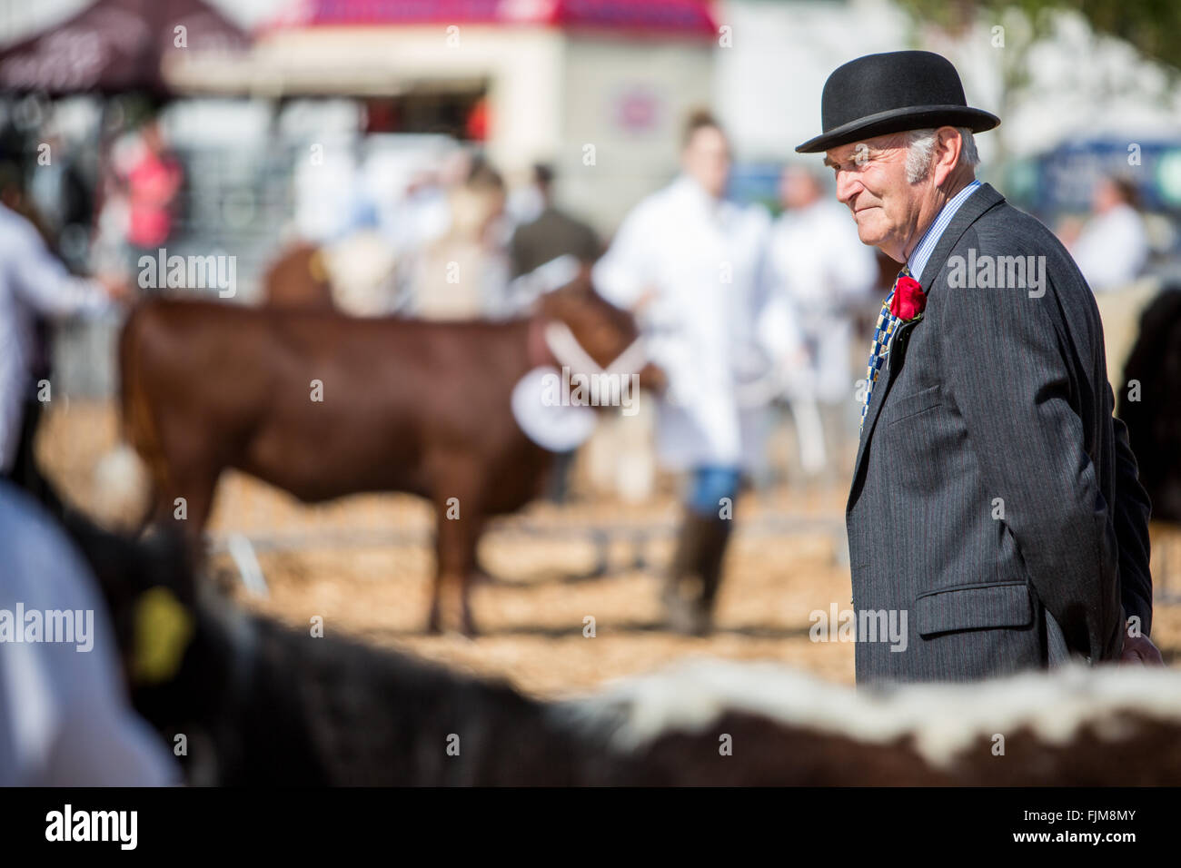 Le scene della Contea di Devon show. Foto Stock