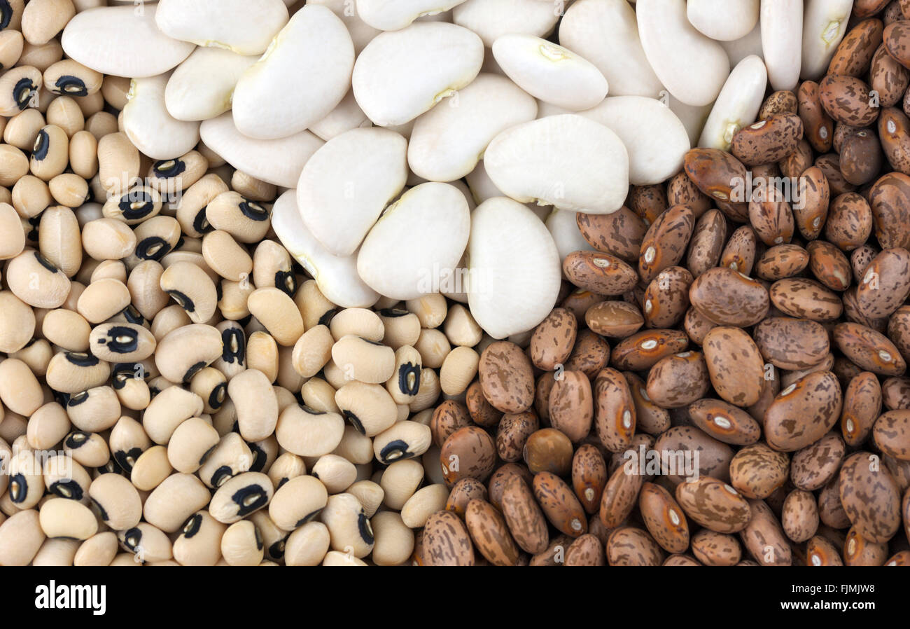 Essiccata la selezione di fagioli, bianco burro fagioli, Black Eyed anche i fagioli chiamato Black Eyed Peas, sinistra e Fagioli Pinto, a destra. Foto Stock