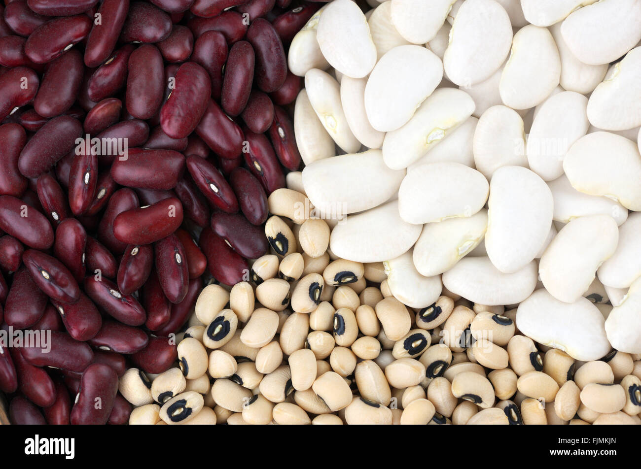 Fagioli secchi, fagioli rossi noto anche come gigante rosso, il burro I fagioli e Black Eyed anche i fagioli chiamato Black Eyed Peas. Foto Stock