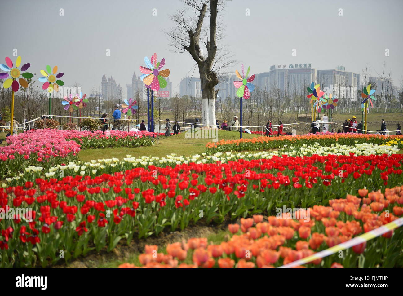 Nanchang, cinese della provincia di Jiangxi. 3 Mar, 2016. La gente viene a visitare un tulipano mostra oltre un milione di tulipani in un parco forestale di Nanchang, capitale della Cina centrale della provincia di Jiangxi, 3 marzo 2016. Credito: Zhou Mi/Xinhua/Alamy Live News Foto Stock