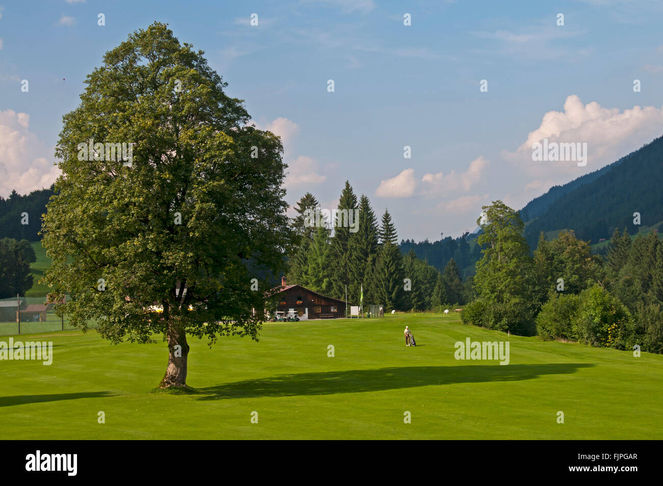 Geografia / viaggi in Germania, in Baviera, paesaggi, campo da golf vicino a Oberstdorf, Additional-Rights-Clearance-Info-Not-Available Foto Stock