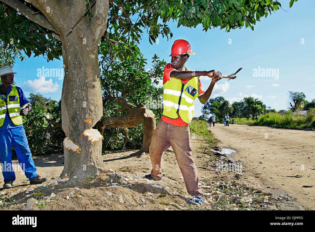 Lavoratori tagliando un albero in Manyama, Zambia. Foto Stock