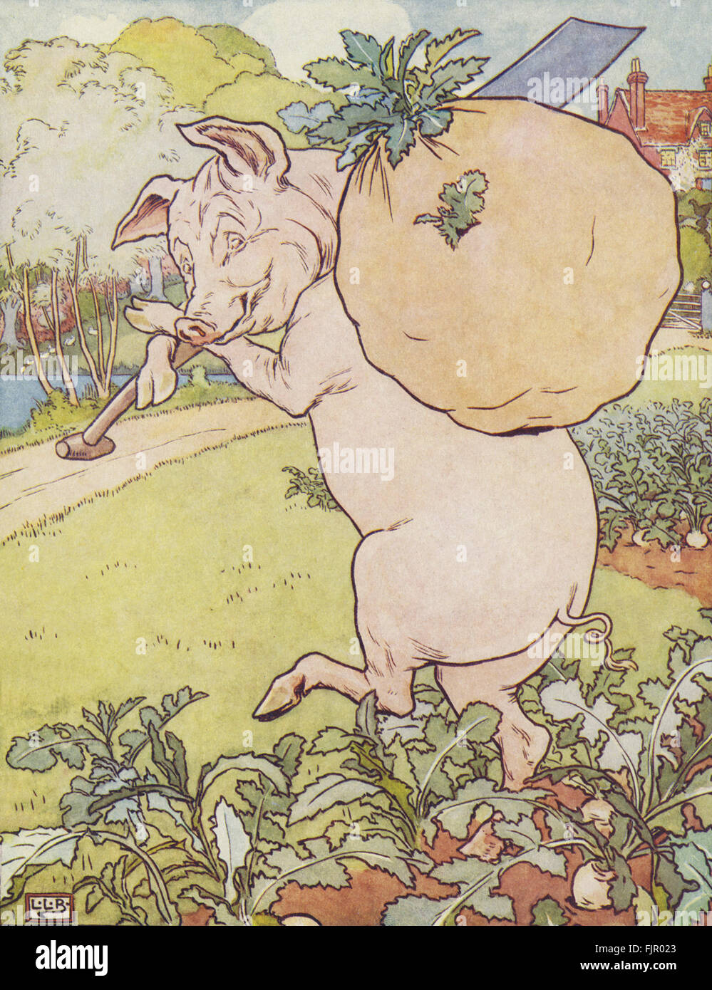 Il Three Little Pigs, il terzo suino rape di prelievo dal signor Smith home campo, dal Golden Goose Prenota, 1905, illustrato da Leonard Leslie Brooke (1862 - 1940) Foto Stock