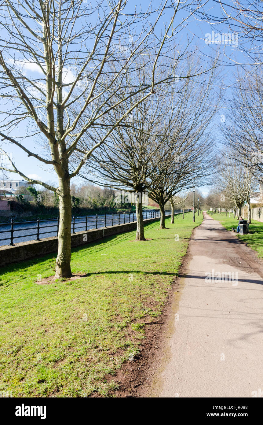 La passeggiata lungo il fiume Usk in Brecon, Powys Foto Stock