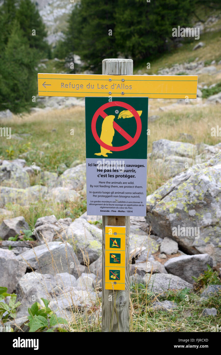 Segno vietando l'alimentazione marmotte o nessuna alimentazione di marmotte segno vicino Lago di Allos nel Parco Nazionale del Mercantour Francia Foto Stock