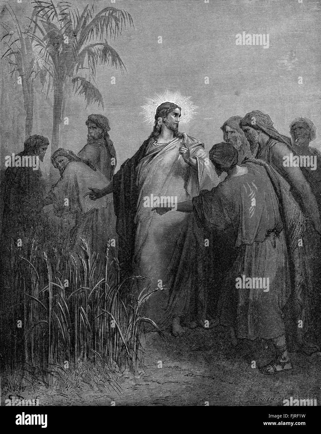 I discepoli spiumatura il mais in giorno di sabato (Matteo Capitolo II), illustrazione di Gustave Doré (1832 - 1883) Foto Stock
