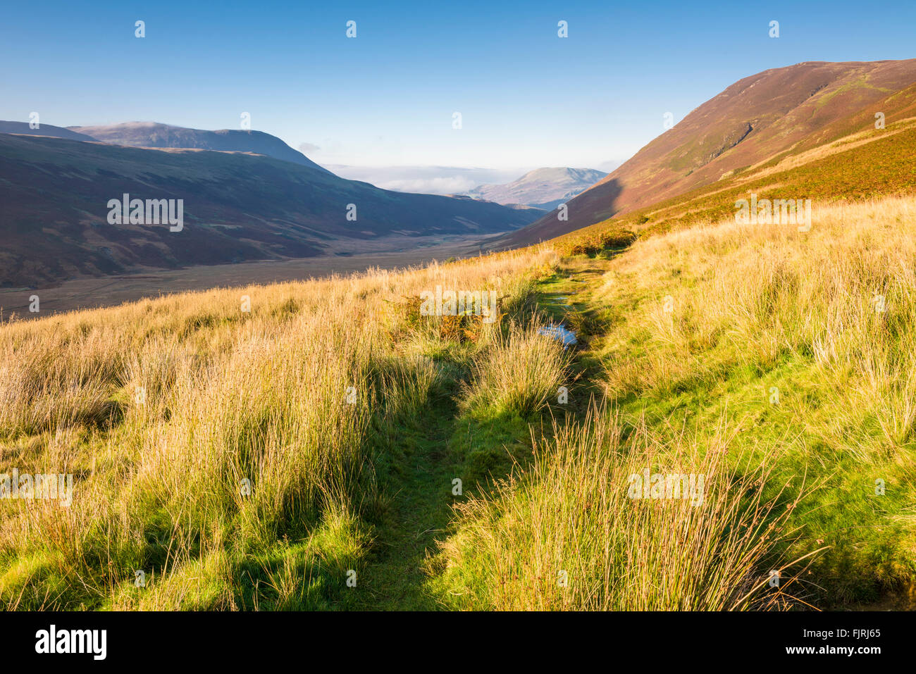 Mosedale nel Parco nazionale del Lake District vicino Loweswater, Cumbria, Inghilterra Foto Stock