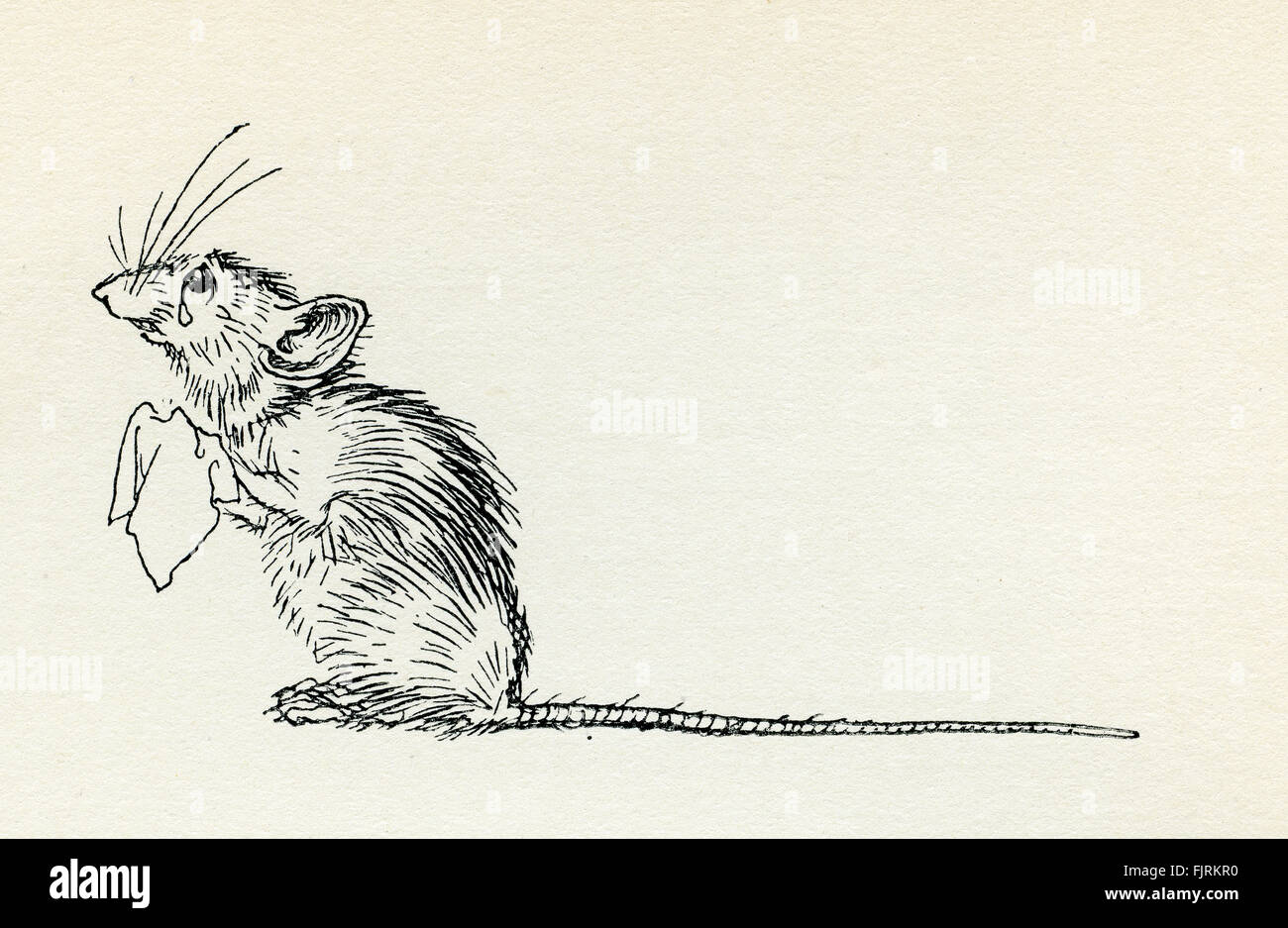 Titty Mouse e trasandato mouse, inglese fiaba. Malridotti Mouse piangendo perché Titty Mouse è morto. Illustrazione di Arthur Rackham (1867 - 1939) Foto Stock