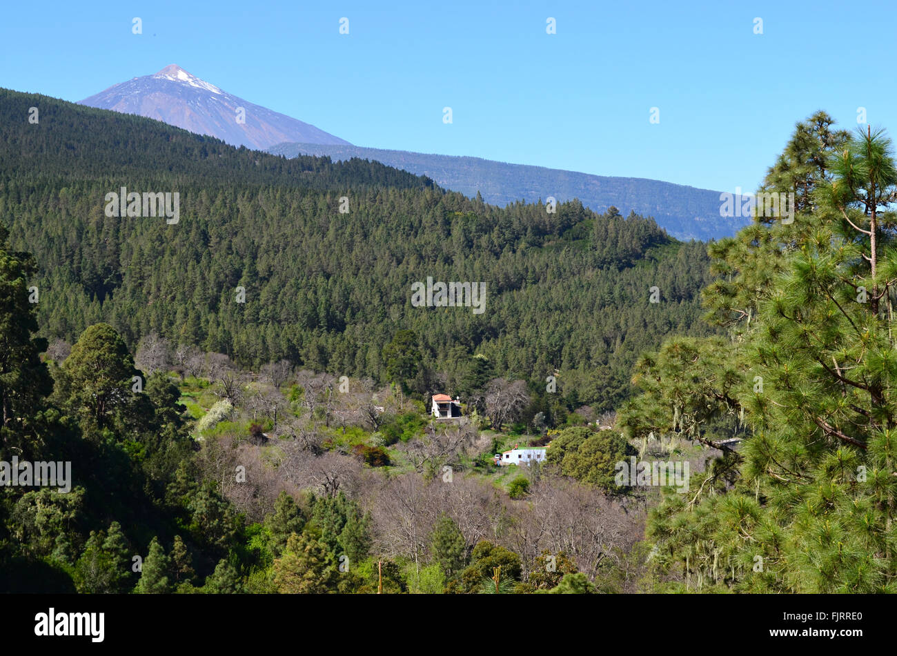 Vista sulla valle di Orotava a Mount Teide Foto Stock