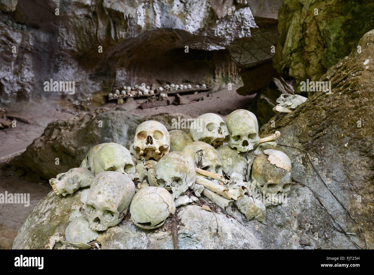 Pila di teschi all'ingresso Tampang Allo grotta di sepoltura della famiglia reale. Ci sono le bare sono collocati in grotte o pendente Foto Stock