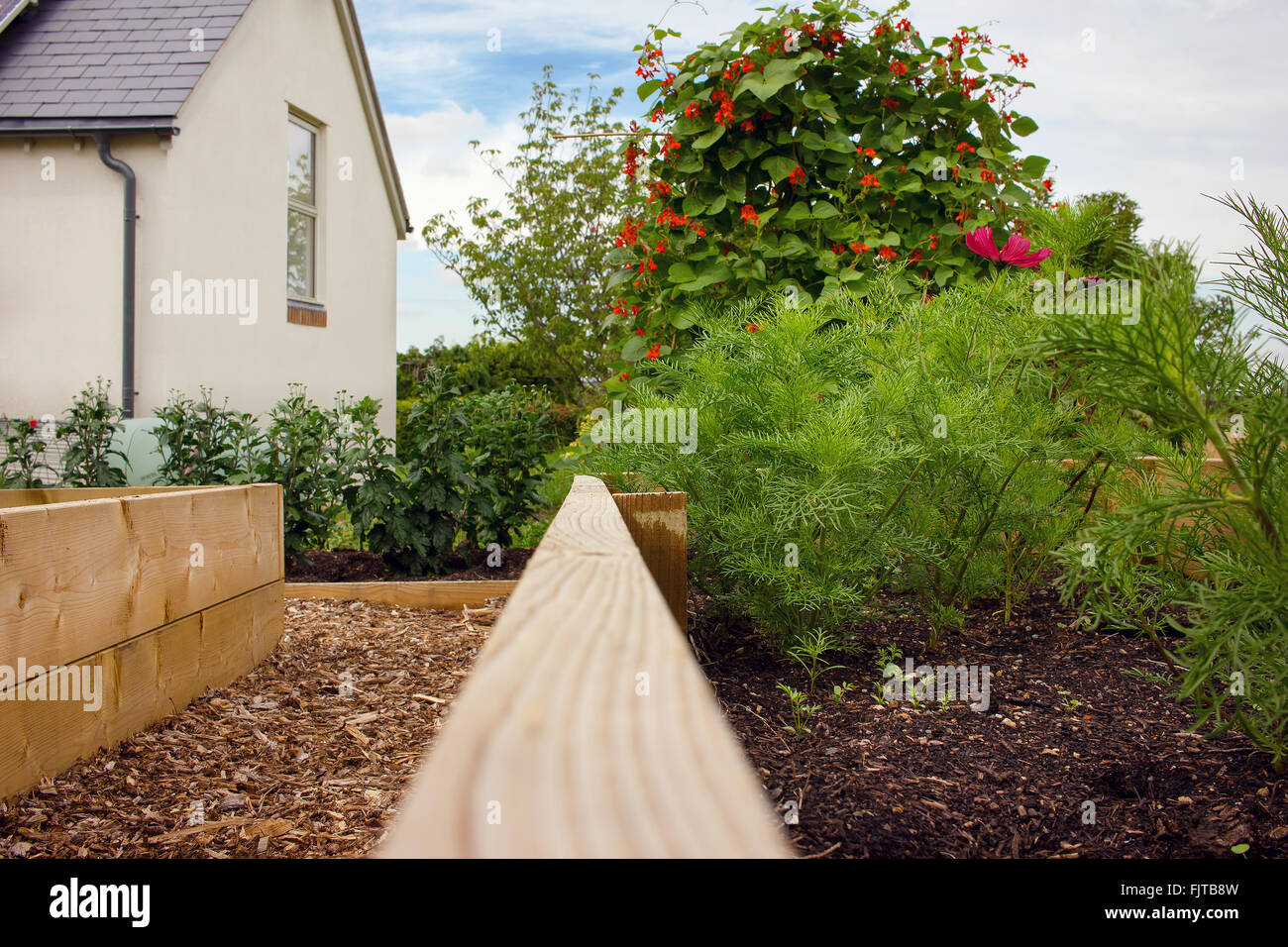 Paese rustico Vegetable & Flower Garden con letti sollevata Foto Stock