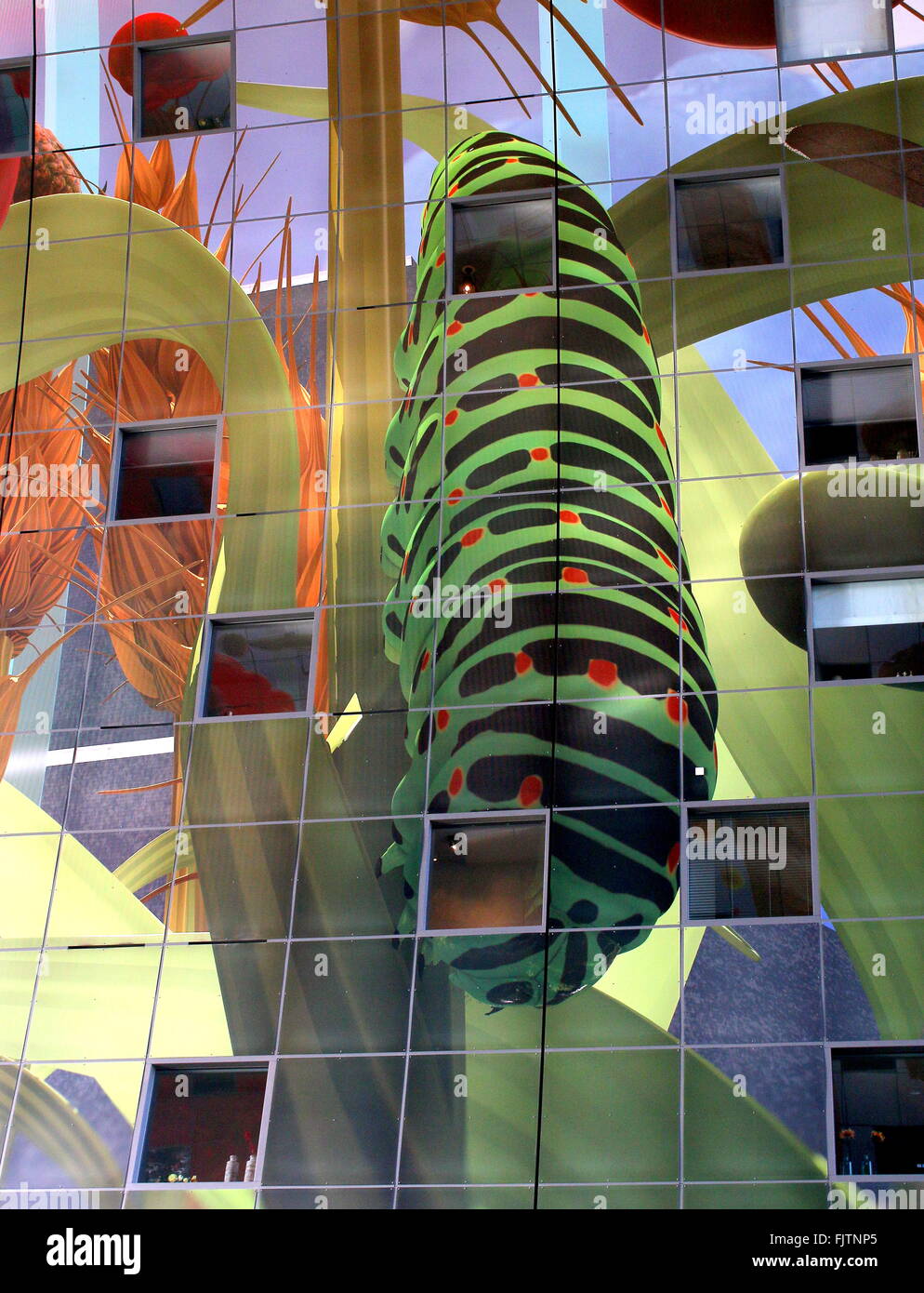 Estremamente colorati illustrazione di un caterpillar tropicale sul soffitto della Rotterdamse Markthal (Rotterdam Market Hall), Paesi Bassi Foto Stock