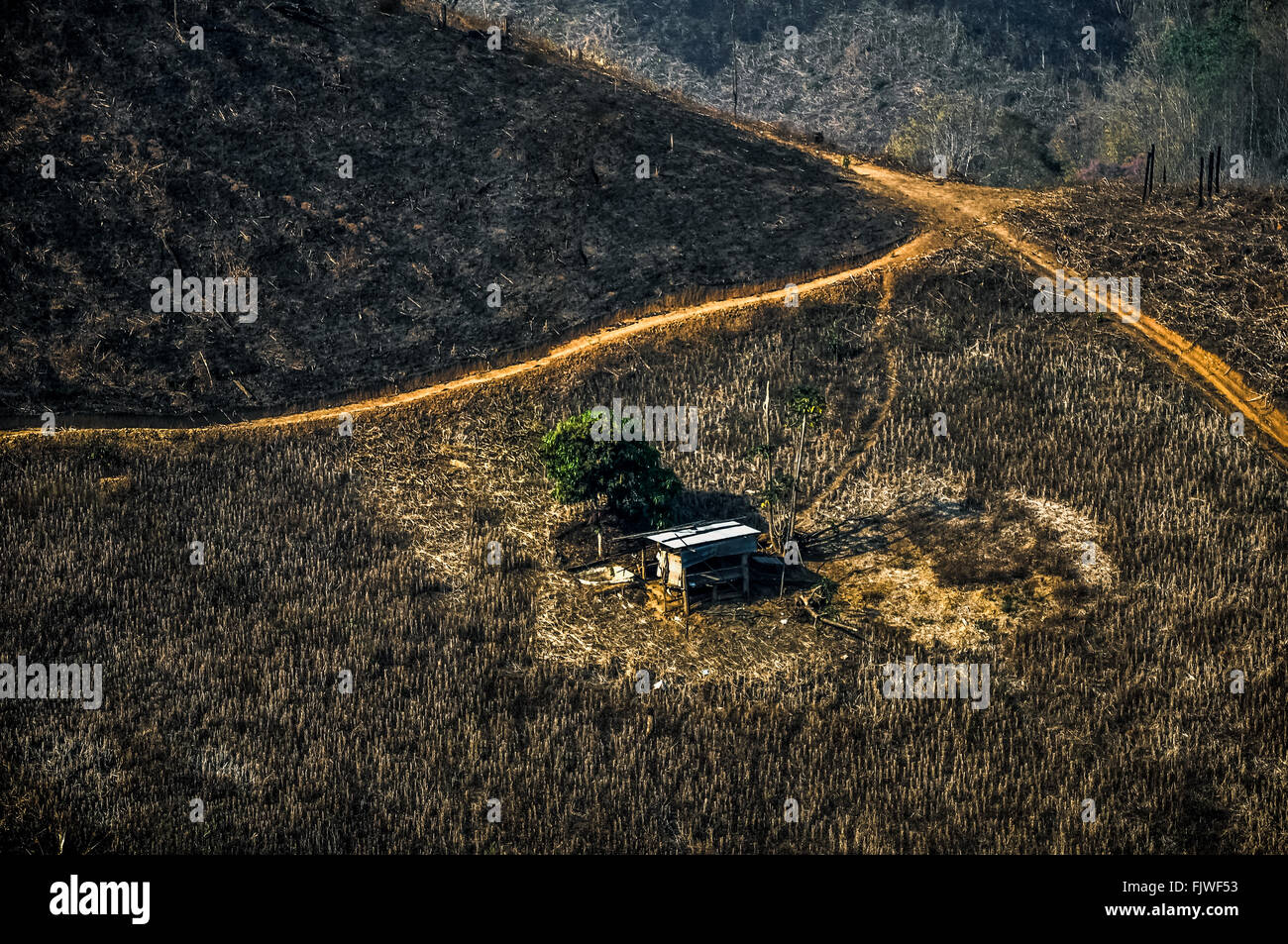Angolo di Alta Vista della foresta bruciato Foto Stock