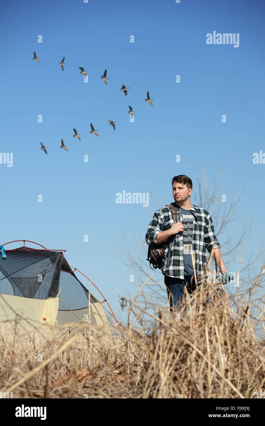 Giovane uomo camping mentre Stormo di oche volano in background Foto Stock