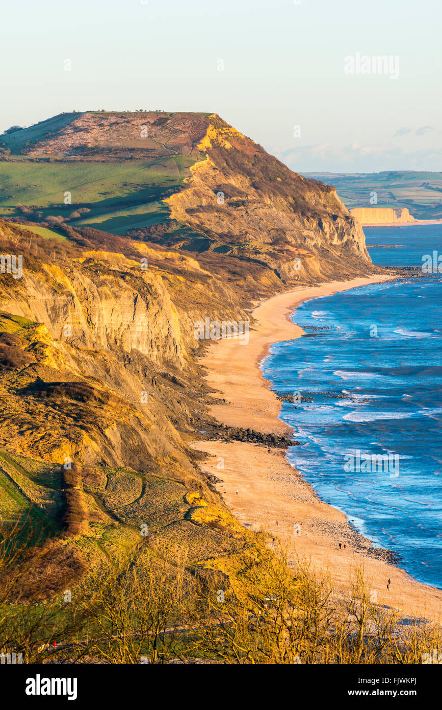 Golden Cap visto dal Charmouth su Jurassic Coast del Dorset in un pomeriggio di primavera Foto Stock