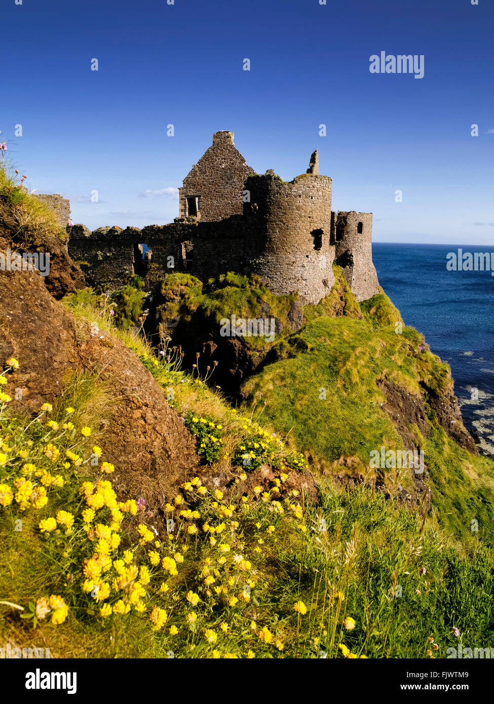 Fiori di Primavera Dunluce Castle Portrush Rocce Bianche Foto Stock