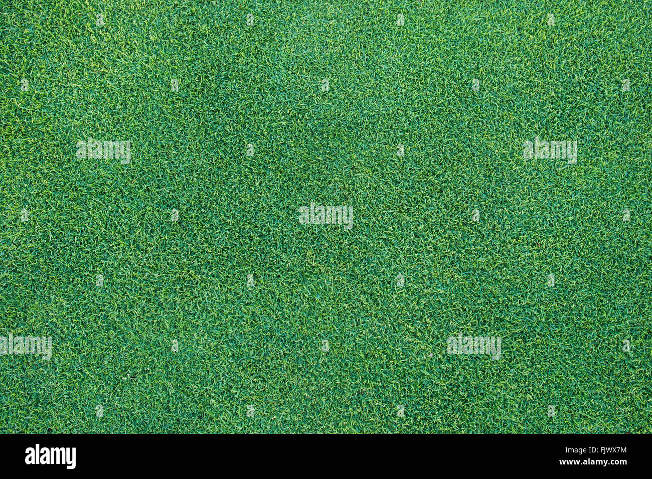 Texture erba del calcio & golf court. Foto Stock