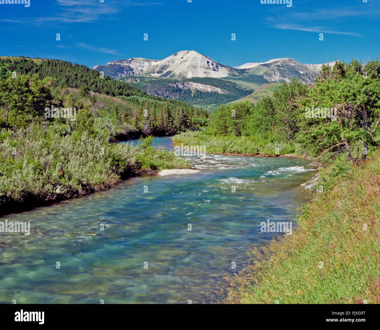 Badger creek al di sotto del Rocky Mountain Front sulla Blackfeet Indian Reservation vicino al cuore butte, montana Foto Stock
