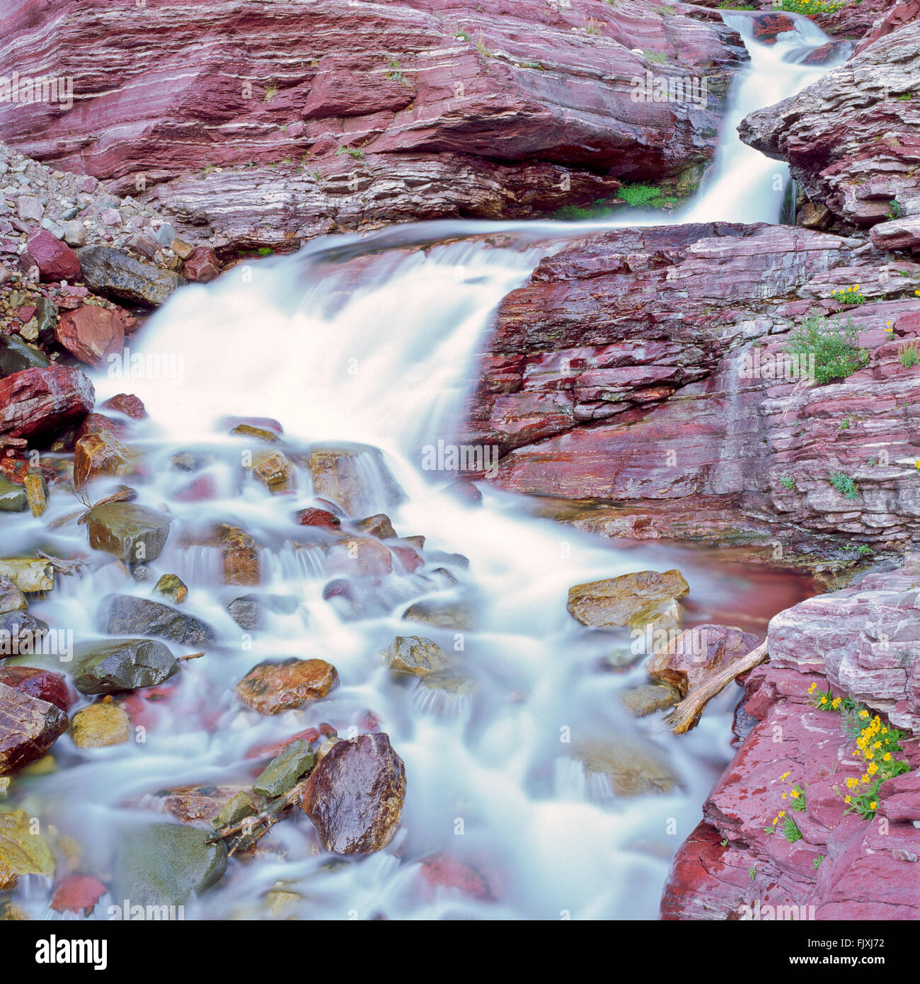 Cascata lungo baring creek nel Glacier National Park Montana Foto Stock