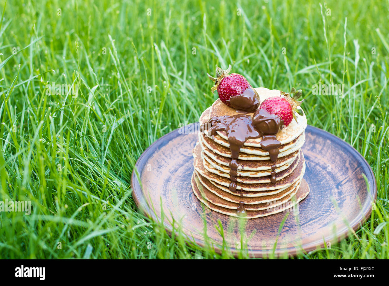 Frittelle di fragole per picnic sull'erba in orizzontale Foto Stock