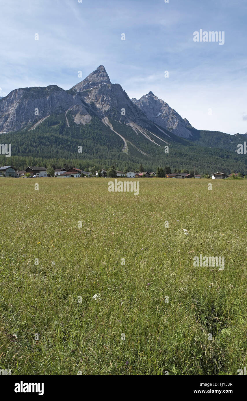 Sonnenspitze visto da nord sul selvaggio fiore prato, vicino a ehrwald, alpi austriache, Austria. Foto Stock