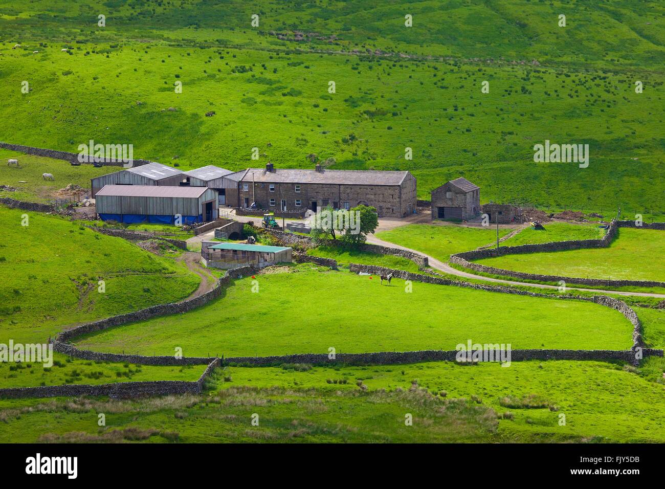 Yorkshire Dales National Park. Hill Farm. Fondo Duerley, Sleddale, Hawes, nello Yorkshire, Inghilterra, Regno Unito, Europa. Foto Stock