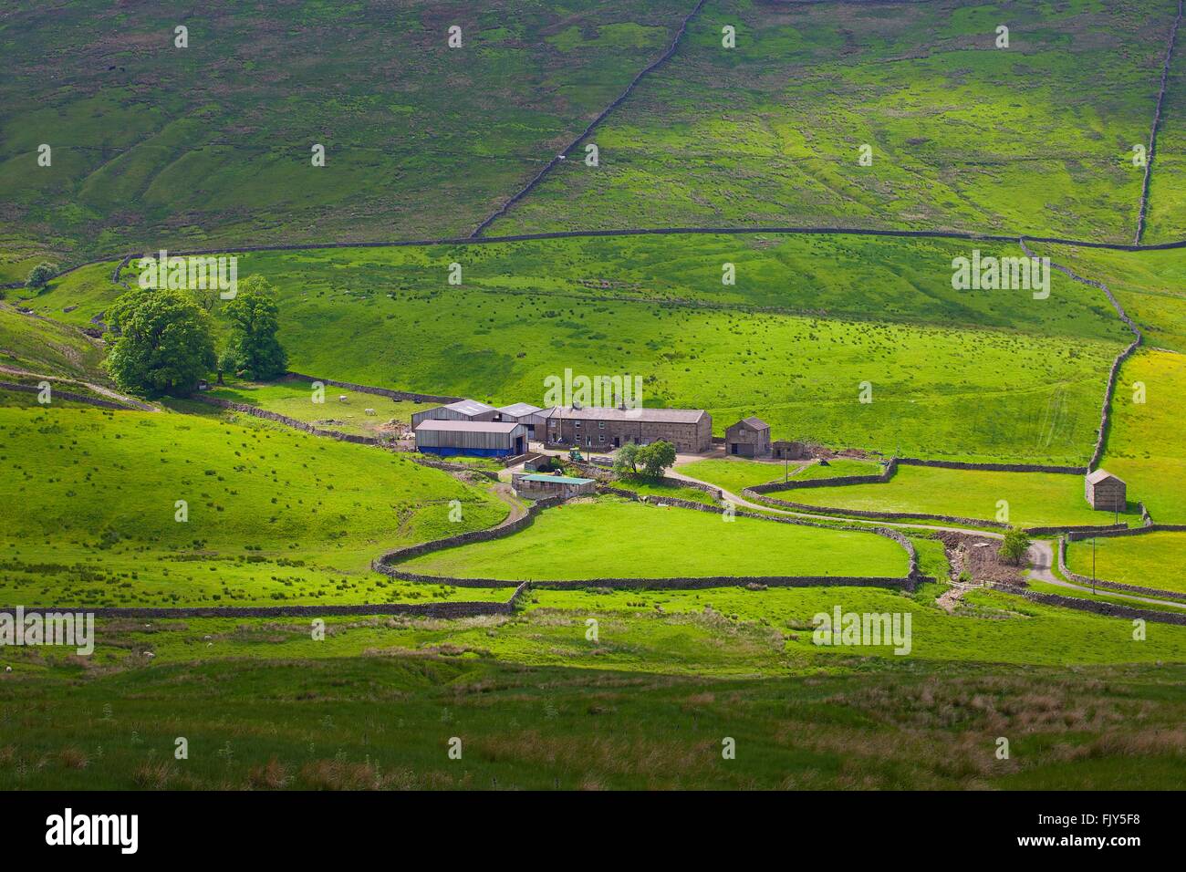 Yorkshire Dales National Park. Hill Farm. Fondo Duerley, Sleddale, Hawes, nello Yorkshire, Inghilterra, Regno Unito, Europa. Foto Stock